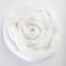 Merino Wool Roving Combed Top Snow Color 19 Micron - Ideal for Felting Projects - 100% Pure Wool from Italy - Buy Online on GoSupps.com