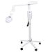 Tooth whitening lamp clinic adjustable tooth whitening light with 5 universal wheels tooth bleaching set movable tooth whitening lamp (EU)