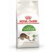 Royal Canin Outdoor Complete Adult Dry Cat Food 3 x 400g - Buy Online on GoSupps.com