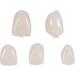 Tooloflife Temporary Tooth Crown - 70 Parts Box Realistic Provisional Dental Care for Front & Back Teeth (140 Pieces) | International Shipping Available - Buy Online on GoSupps.com