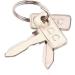 Replacement Golf Cart Keys for Club Car DS & Precedent - 2PCS | Fits 1982-Up DS & 2004-Up Precedent Gas/Electric Carts - 9.99WORLD MALL - Buy Online on GoSupps.com