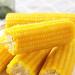 Delicious yellow glutinous corn stick sweet corn fresh corn vegetable snacks nutritious breakfast Coarse grains cereal Dim sum dessert sweets Chinese snack gift pack convenience food (8 bags) - Buy Online on GoSupps.com