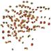 Tetramine Granules - Premium Slowly Sinking Fish Feed for Mid-Water Fish - 250 ml (100 g) - Ideal Aquarium Nutrition - Buy Online on GoSupps.com