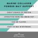 Lone Star Botanicals Marine Collagen Powder 100% Superfood USA Grown Type 1 & 3 Skin and Hair Health Superfood for Smoothies Coffees Cooking Baking and Teas. (100 Grams) - Buy Online on GoSupps.com
