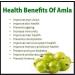 nalAmudhu Dried Indian Gooseberry Sweet & Sour Amla Slices 250g - Buy Online on GoSupps.com