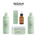 NOAH Yal Thyme + Hyaluronic Acid Shampoo and Conditioner Set - 8.5 fl.oz (250 ml) - Cruelty Free, Vegan, Anti-aging, Detangling, Fortifying and Moisturizing - Buy Online on GoSupps.com
