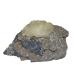 Galena - Siderite - Calcite France Mineral MINFR5996