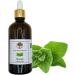 100% Pure Greek Oregano Essential Oil | High Carvacrol 30ml to 1000ml | Premium Quality for Aromatherapy & Wellness - Buy Online on GoSupps.com