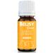 Belisy itching Bach flowers K gelchen for dogs & cats - for itching - Emergency Bullet for pets - fur care & skin care - original mixture according to Dr.Bach - non -alcoholic - 10g