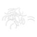 sourcing map 30pcs White Soft Rubber Women Cosmetic Makeup Eyelash Curler Refill