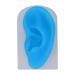 Reusable Silicone Left Ear Model for Teachers - School Ear Piercing Model with Transparent Base - Buy Online on GoSupps.com