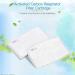 100 Pcs Activated Carbon PM2.5 Filter Paper - 5 Layers Replacement Face Filter Insert - Buy Online on GoSupps.com