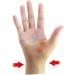 Healeved 3 Pairs Thumb Wrist Support Brace - Premium Thumb Splint for Typing Biking & Sports Training - Ultimate Wrist Stabilizer & Fitness Care - Buy Online on GoSupps.com