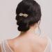 Aneneiceera Vintage Crystal Hair Clip Gold Rhinestone Hair Barrette Sparkle Cz Head Clip Crystal Wedding Headpieces Bridal Hair Accessories for Women and Girls - Buy Online on GoSupps.com