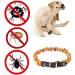 Elegant Baltic Amber Dog & Cat Necklace - Flea & Tick Protection Collar with Leather Clasp | Anti-Tick & Vermin Safety for Pets - Buy Online on GoSupps.com