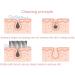 Dry Body Brush with Long Handle - Exfoliating Bath Brush for Shower with Natural Bristles - Remove Dead Skin and Cellulite - Buy Online on GoSupps.com