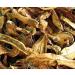 WENXUANSU: 1 Pound (454 grams) Boletus luteus mushroom dried Grade A yellow porcini