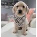 Lionet Paws Dog Bandana - Triangular Headscarf for Small Medium & Large Dogs - Grey (Pack of 1) - Buy Online on GoSupps.com