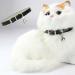 Pack of 2 Leather Cat Collars with Elastic Safety Belt - Ideal for Cats & Kittens | International Shipping Available - Buy Online on GoSupps.com
