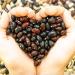 Beanitos Black Bean Chips - Gluten-Free, Vegan, & High Fiber Snack - 6 Pack - Buy Online on GoSupps.com