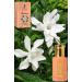 Gardenia 12 ML Concentrated Fragrance (0.41 fl. oz) - Buy Online on GoSupps.com