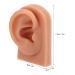 Flexible 3D Silicone Ear Model for Acupuncture Training | Reusable Soft Elastic Ear Piercing Model - International Shipping Available - Buy Online on GoSupps.com