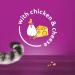 Whiskas Temptations 8 Packets Tasty Crunchy Treats for Adult Cats bite size Snacks with a delicious Chicken & Cheese Filling Pack of 8 (8 x 60 g) Chicken & Cheese 60 g (Pack of 8) - Buy Online on GoSupps.com