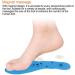 Acupressure Magnetic Massage Insoles for Men | Washable & Cuttable | Deodorizing Therapy Shoe Insoles with Magnetic Stones | Reflexology Pain Relief & Comfort Pads - Buy Online on GoSupps.com