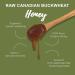 ONEROOT Canadian Raw Buckwheat Honey | Higher in Antioxidants Than Manuka (1 kg) 1 kg (Pack of 1) - Buy Online on GoSupps.com