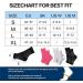 4 Pairs Ankle Compression Socks for Men & Women - Plantar Fasciitis & Arthritis Support - Foot Bandage in Black (Size 38-42) - Buy Online on GoSupps.com