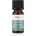 Tisserand Siberian Fir Essential Oil - 100% Pure Wild Crafted | 9ml Aromatherapy for Home & Wellness - Buy Online on GoSupps.com