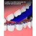 Buy Blue Dental Articulation Paper | Thin Tooth Bite Recording for Clinics & Laboratories - Buy Online on GoSupps.com