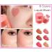 Heart Applicator Blush Stamped Liquid Cushion Blush Natural Long Lasting Light and Breathable Makeup (3) - Buy Online on GoSupps.com