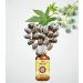  Deve Herbes Deve Herbes Pure Castor Oil (Ricinus communis) with 100% Natural Therapeutic Grade Cold Pressed Glass Dropper for Personal Care 15ml - Buy Online on GoSupps.com
