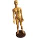 Education Model Toy Model Anatomy Professional Medical Acupuncture Female 48cm 19" - Buy Online on GoSupps.com