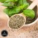 Organic Basil Leaves (100gm) by Naturevibe Botanicals - Fresh and Aromatic | Packaging May Vary - Buy Online on GoSupps.com