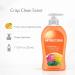 Crisp Clean Scent Liquid Hand Soap for Everyday Hand Washing Gentle Hand Wash for Home and Office Use Pump Bottle 11.25 fl oz - Buy Online on GoSupps.com