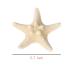 OBTANIM Starfish Hair Clip Set - Resin Beach Sea Star Hair Pins for Women and Girls - Mermaid Hair Accessories - 2 Count - Buy Online on GoSupps.com
