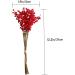 HOMSFOU 2pcs Simulation Small Berry Bouquet Berries Wedding Decor Artificial Pip Berry Stems Artificial Berry Stems Bundle Acacia Beans Hand Rolled Wire Paper with Branches - Buy Online on GoSupps.com