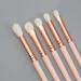 Premium Eye Shadow Brush Set | Portable Eye Makeup Brushes for Beginners | Halo Dye & Single Brushes - Buy Online on GoSupps.com