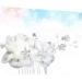 Didiseaon Wedding Headpiece for Bride Comb for Bridal Flower Hair Comb Wedding Hair Comb Decor Combs Hair Comb for Women Hair Comb for Bride Rhinestone The Flowers White Women's - Buy Online on GoSupps.com
