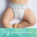 Pampers Pure Protection Newborn/Size 1 Diapers - 32 Count | Hypoallergenic & Unscented | Jumbo Pack - Buy Online on GoSupps.com