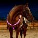 LucaSng LED Horse Breastplate Collar - High Visibility Tack For Horseback Riding Adjustable Safety Gear - Adjustable Sturdy & Comfortable Equestrian Safety Gear for Night Horse Riding Pink