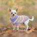 Jodsen Small Dog Jumper Knitted Dog Pullover Warm Puppy Sweater Knitwear Cat Puppy Turtleneck Knitting Sweater Autumn Winter Puppy Stripe Sweater Welsh Corgi Yorkshire Terrier Chihuahua (M Purple) M Purple - Buy Online on GoSupps.com