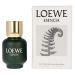 Men's Perfume Esencia Loewe EDT