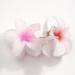 JOYOYO 4 Pcs Matte Flower Hair Clips | 3 Inch Medium Claw Clips for Women & Girls - Buy Online on GoSupps.com