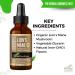 Herbal Goodness Lions Mane Mushroom Supplement Liquid 1 fl.oz - Brain & Focus Support Nootropic USDA Organic Lions Mane Extract Tincture Brain Health Supplement Non GMO Sugar & Alcohol Free - Buy Online on GoSupps.com