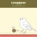 TailWagger Treats x20 Flite Suet Coconut Filled Halves High Energy Premium Coco Feeder Wild Bird Treat Year Round Feeding 20 count (Pack of 1) - Buy Online on GoSupps.com