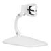 HUSHUI Adjustable Nail Polish Bottle Holder Clip Nail Art Tools for Fingernails Manicures Nail Polish Aid Stand Clip (White)