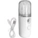 1PC Face Steamer Humidificateur - ABS + PC voyageant petit humidificateur de peau sans fil | Portable Mini Facial Mist manivelles port e White - Buy Online on GoSupps.com